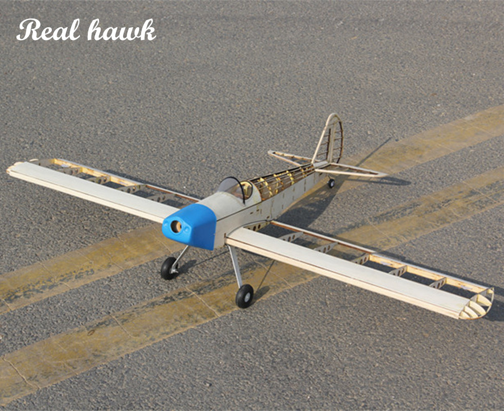 RC AirPlanes Laser Cut Balsa W – Model Kit Frame Bewertung und Preis